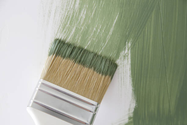 Best Real Estate Mold Inspection  in Destin, FL
